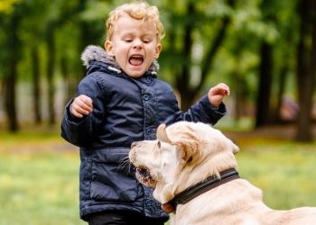 “ვუყურებდი, როგორ გაიწია აგრესიული ძაღლი ბავშვისკენ. პატრონი მესიჯობდა” – ცნობილი დრამერი უალიკაპო ძაღლებზე