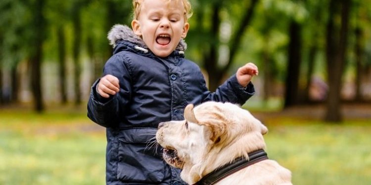 “ვუყურებდი, როგორ გაიწია აგრესიული ძაღლი ბავშვისკენ. პატრონი მესიჯობდა” – ცნობილი დრამერი უალიკაპო ძაღლებზე