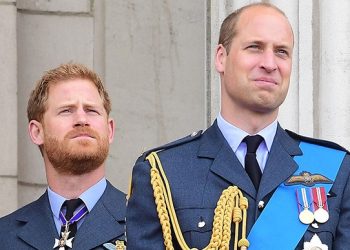 ძმებს შორის კონტაქტი აღარ არსებობს – პრინც უილიამს უმცროსი ძმის ბედნიერება არ უხარია