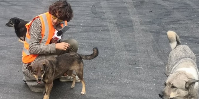 “ეფერებოდა ძაღლებს და ეს კადრი დავიჭირე” – ნინუცა მაყაშვილი ქუჩის ძაღლების ალყაში