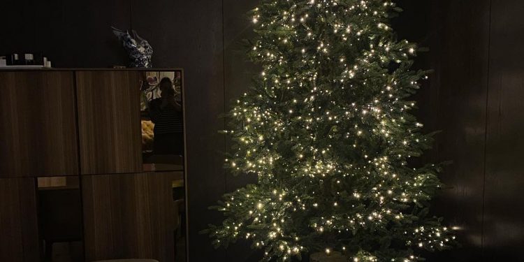 კახი კალაძის და ანუკა არეშიძის საახალწლოდ მორთული სახლი (ფოტოები)