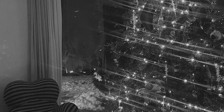 კახი კალაძის და ანუკა არეშიძის საახალწლოდ მორთული სახლი (ფოტოები)