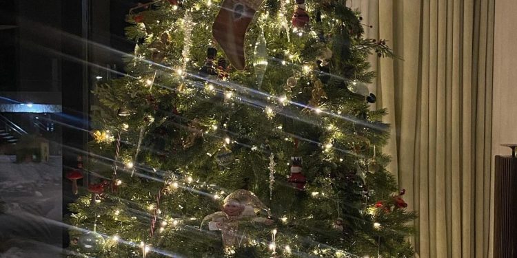 კახი კალაძის და ანუკა არეშიძის საახალწლოდ მორთული სახლი (ფოტოები)