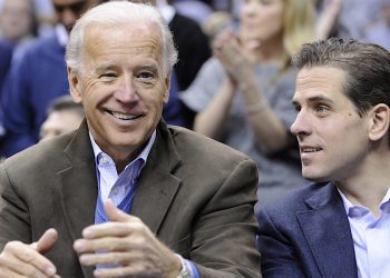 ჯო ბაიდენის შვილს თაღლითობაში ადანაშაულებენ