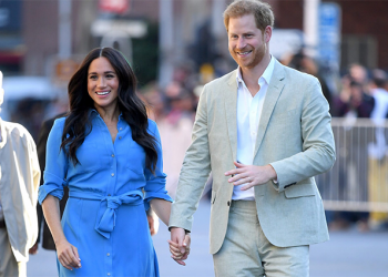 მეგან მარკლი და პრინცი ჰარი საშობაო ნაძვის ხის ყიდვისას უხერხულ მდგომარეობაში აღმოჩნდნენ