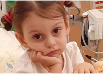 “მოფერება ლექსებად” – საჩუქარი ანიტა ფაცაციასგან – ლექსების კრებული