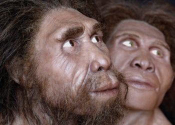 “ეს იქნება საგიჟეთი, პოსტპანდემიური აწყვეტა” – “ზეზვა და მზია” – GR Music-ი ახალ ფესტივალს გეგმავს