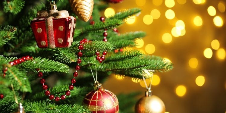 უნდა გვედგას თუ არა ნაძვის ხე ნათლისღებას