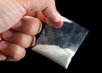 კოკაინის გასაღების გამო ცნობილი მოდელი დააკავეს