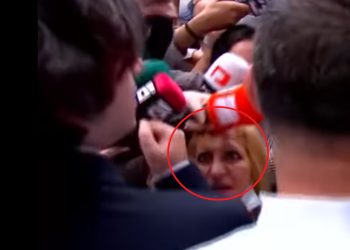 VIDEO: ქალი, რომელიც მელია-კობახიძის დაპირისპირების შემდეგ ინტერნეტ ჰიტად იქცა