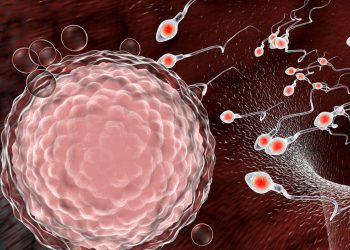 „კორონა გადატანილზე არ ვთხოვდები, პაკა“ – როგორ ეხმაურებიან სოცქსელში ინფორმაციას, რომ კოვიდი სპერმის ხარისხს აქვეითებს