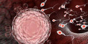 „კორონა გადატანილზე არ ვთხოვდები, პაკა“ – როგორ ეხმაურებიან სოცქსელში ინფორმაციას, რომ კოვიდი სპერმის ხარისხს აქვეითებს