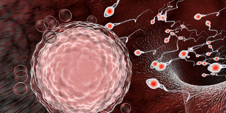 „კორონა გადატანილზე არ ვთხოვდები, პაკა“ – როგორ ეხმაურებიან სოცქსელში ინფორმაციას, რომ კოვიდი სპერმის ხარისხს აქვეითებს