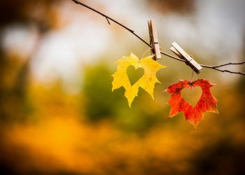 გაიგეთ რა გელით – ნოემბრის სასიყვარულო პროგნოზი ზოდიაქოს ყველა ნიშნისთვის