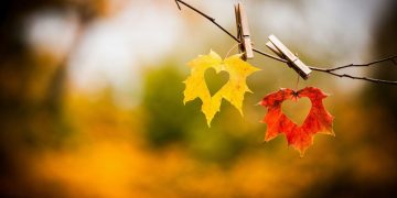 გაიგეთ რა გელით – ნოემბრის სასიყვარულო პროგნოზი ზოდიაქოს ყველა ნიშნისთვის