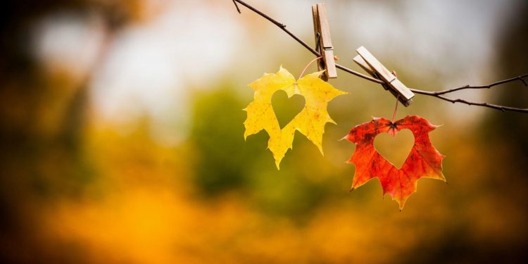 გაიგეთ რა გელით – ნოემბრის სასიყვარულო პროგნოზი ზოდიაქოს ყველა ნიშნისთვის