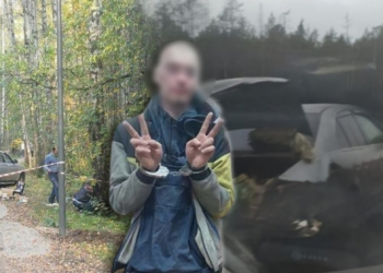 ავარიისას მანქანის საბარგულიდან ცხედარი გადმოვარდა – დაკავებულთაგან ერთ-ერთმა კანიბალიზმი აღიარა (სანკტ-პეტერბურგი)