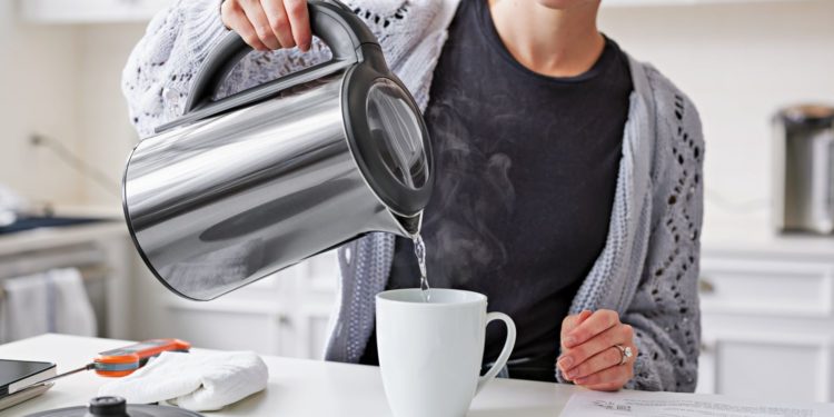 ბლენდერი და ჩაიდანი: სამზარეულოს ორი აუცილებელი მოწყობილობა